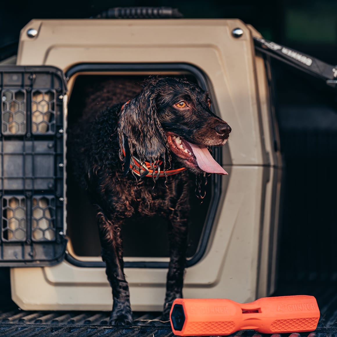 A wet, dark-furred dog with its tongue out stands in the doorway of a GUNNER G1™ KENNEL - MOSSY OAK BOTTOMLAND TAN, with an orange chew toy lying on the ground in front.