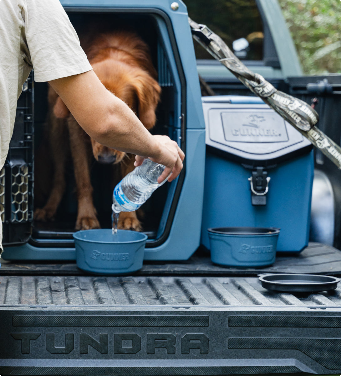 A person pours water from a bottle into a dog bowl on the tailgate of a truck, with a brown hunting dog in a kennel and pet supplies nearby. The word TUNDRA is embossed on the tailgate.