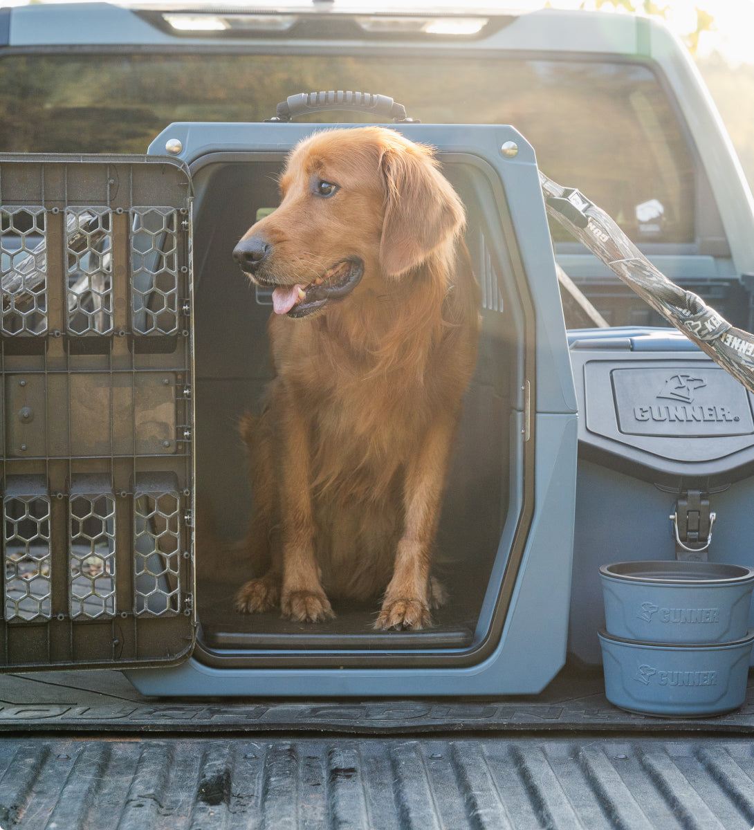 A golden retriever sits inside a sturdy gray dog kennel in the bed of a pickup truck, with the kennel door open and two blue water bowls stacked nearby. Sunlight shines in the background.