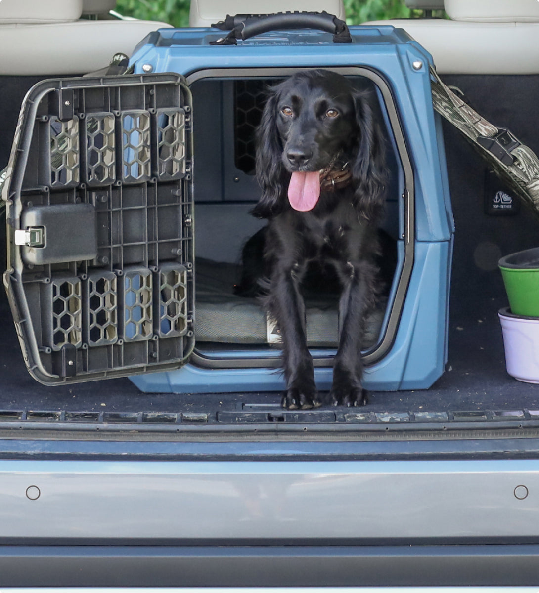 A black working dog with floppy ears sits in a blue dog crate with the door open, its tongue out. The crate, surrounded by outdoor gear—a green and a purple container—rests in the back of a car.