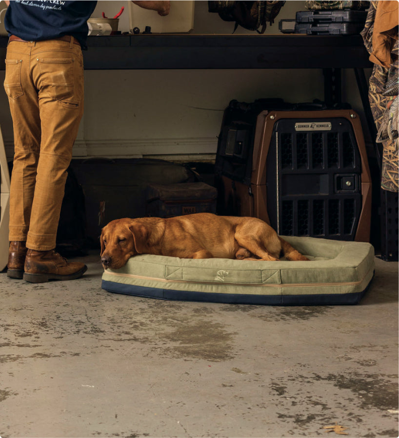 A brown dog is lying on a green dog bed beside a dog crate on a concrete floor inside a garage or workshop. A person in tan pants and brown boots stands nearby, with outdoor gear and tools visible in the background.