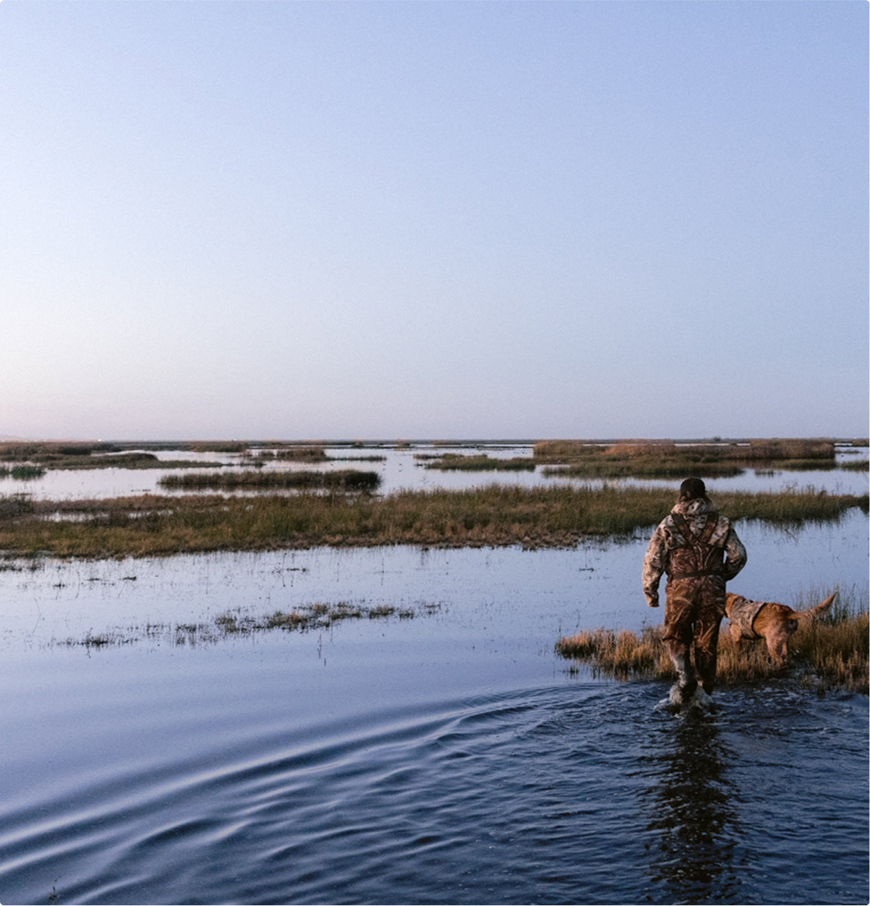 A person in camouflage clothing and waders, equipped with quality outdoor gear, walks through shallow marsh water at dusk or dawn, accompanied by a loyal brown working dog under a clear sky.