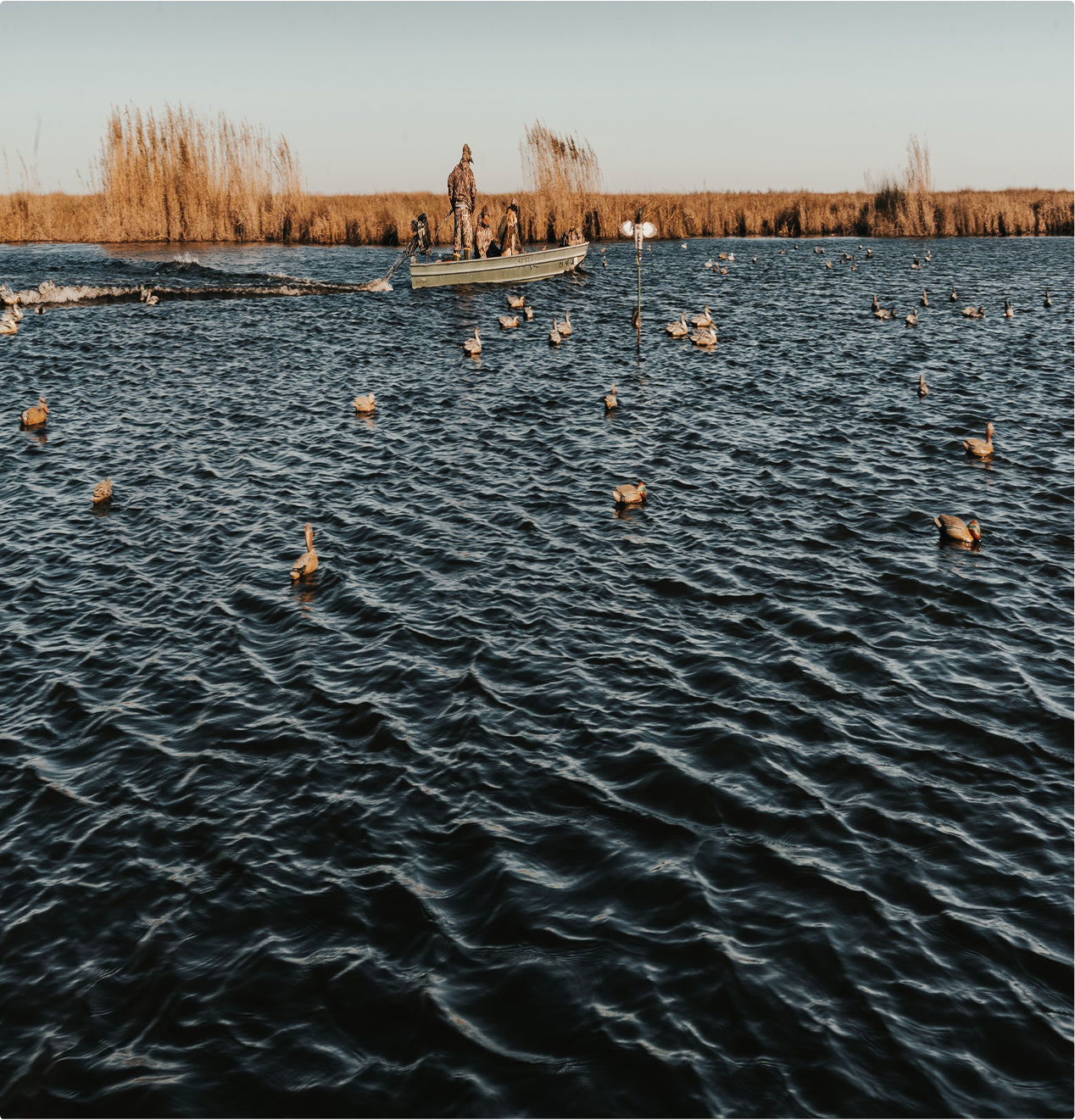 A small boat with people aboard moves across a rippling, blue lake surrounded by tall reeds, as ducks float on the water under a clear sky—perfect for bringing along your outdoor gear for an adventurous day.