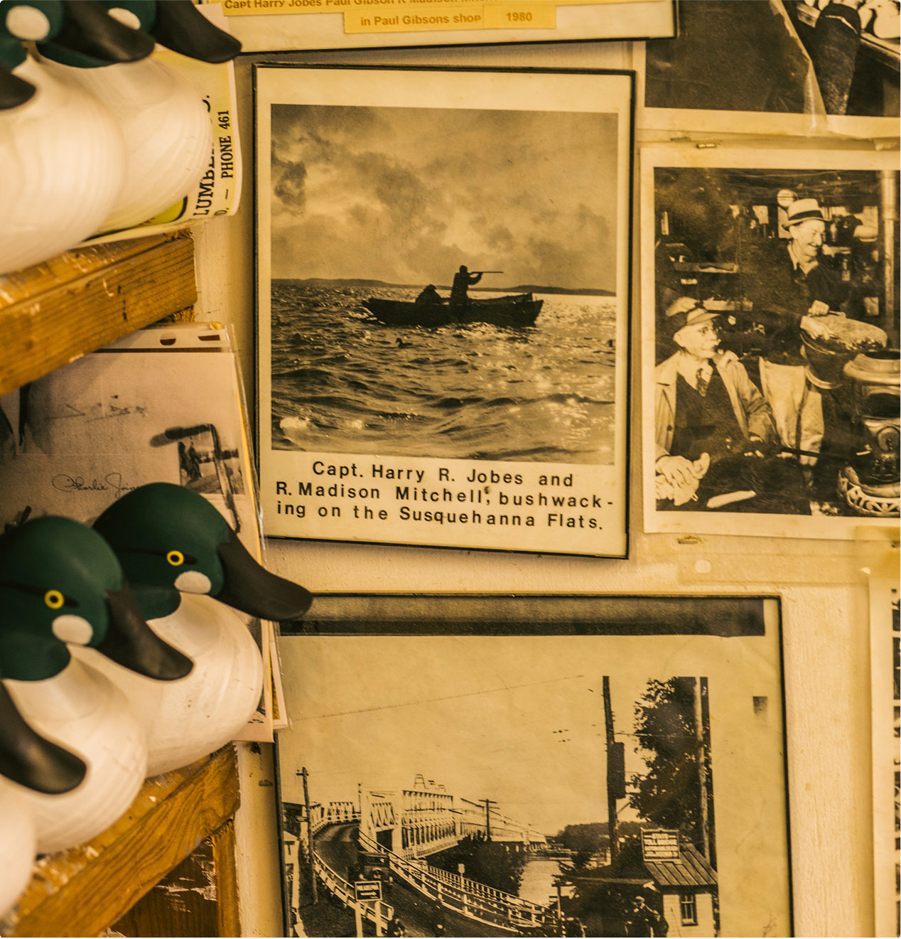 A wall display with vintage black-and-white photos—including one of two men in a small boat on water—features wooden duck decoys on shelves to the left. This museum-like scene could belong to a hunting dog enthusiast or collector’s room.