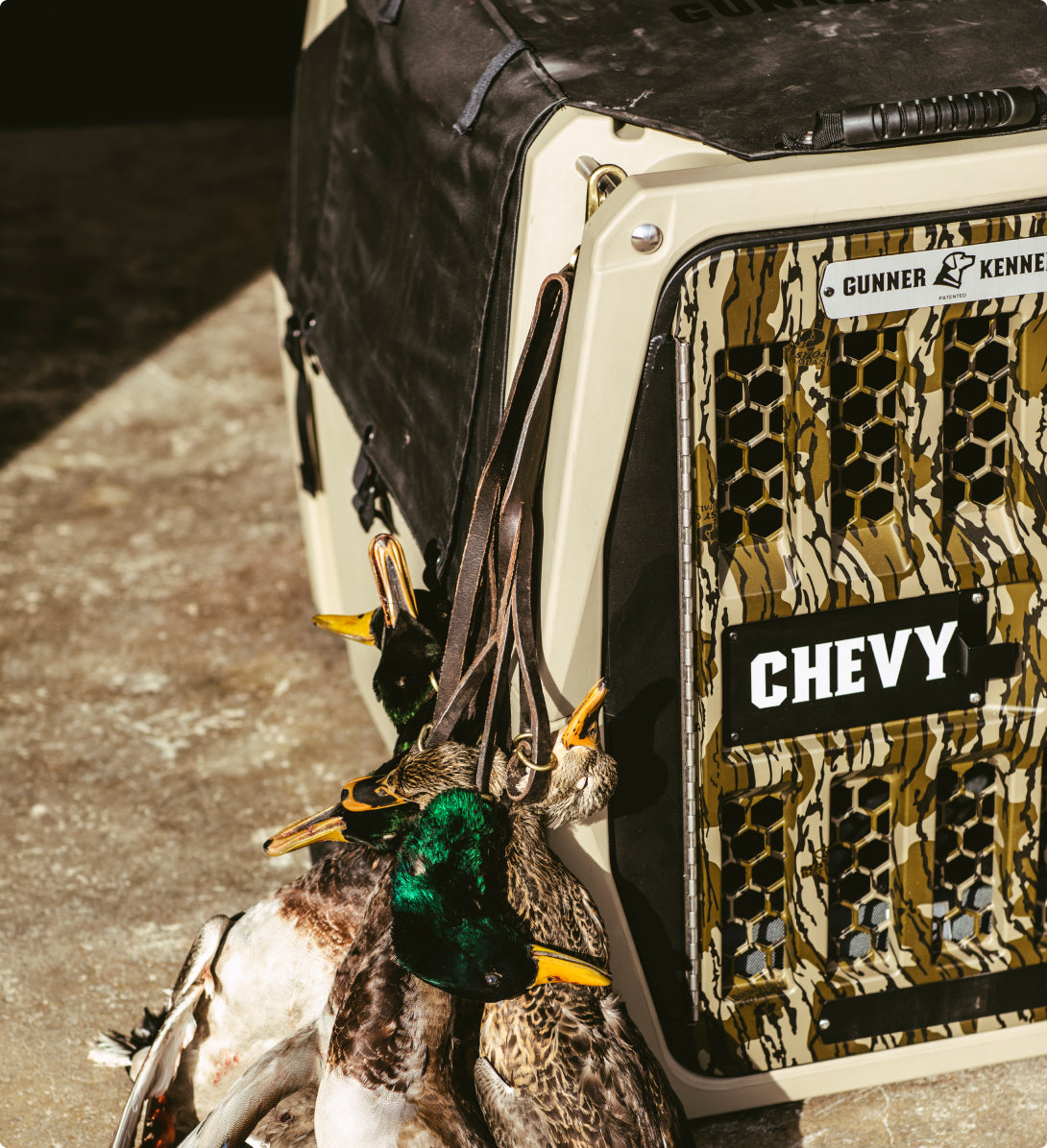 A hunting dog kennel labeled Chevy with green-headed ducks hanging on a strap in front of it, resting on a concrete surface.