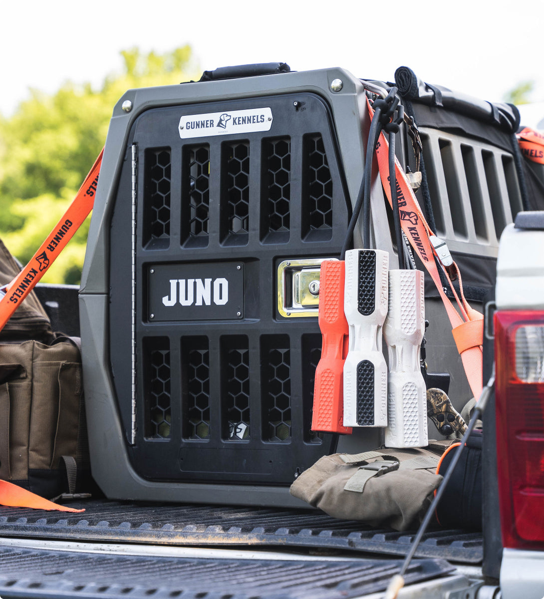A dog kennel labeled JUNO sits in a truck bed alongside bags and orange straps. Two training bumpers, one white and orange and one white, hang on the kennel. Trees and greenery are visible in the background.