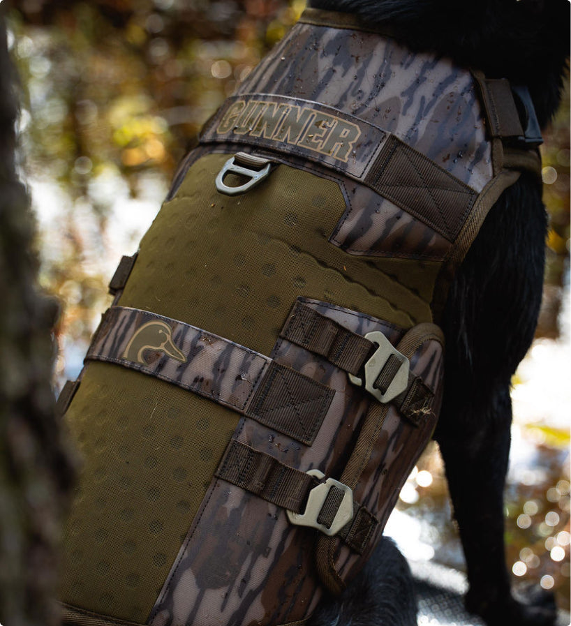A close-up of a hunting dog wearing a camouflage-patterned and olive green vest with metal buckles and a GUNNER patch on the back, sitting outdoors near water.