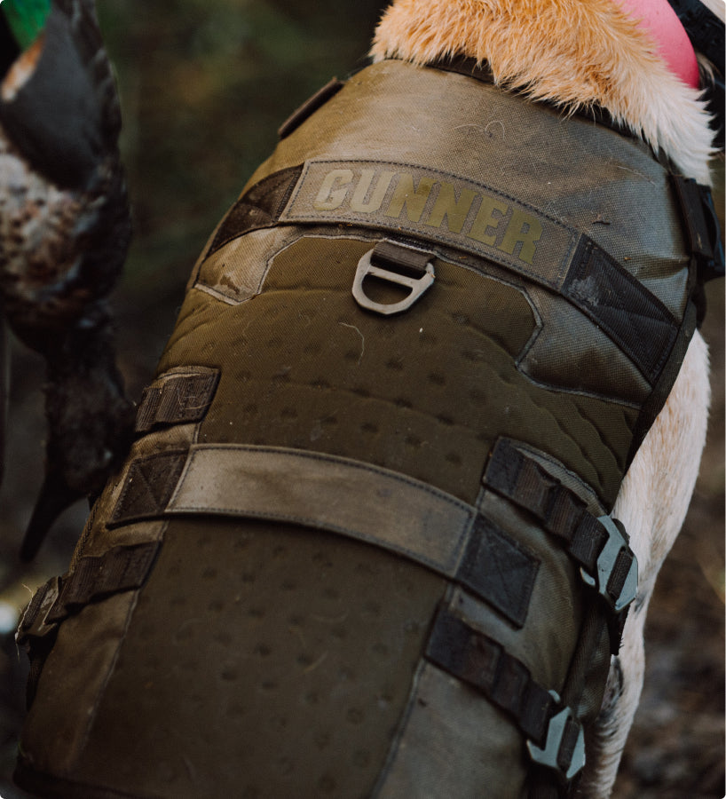 A close-up of a working dog wearing a green tactical vest labeled GUNNER with straps, buckles, and a sturdy metal ring on the back. The dogs fur is visible at the edges, ready for action outside the kennel.
