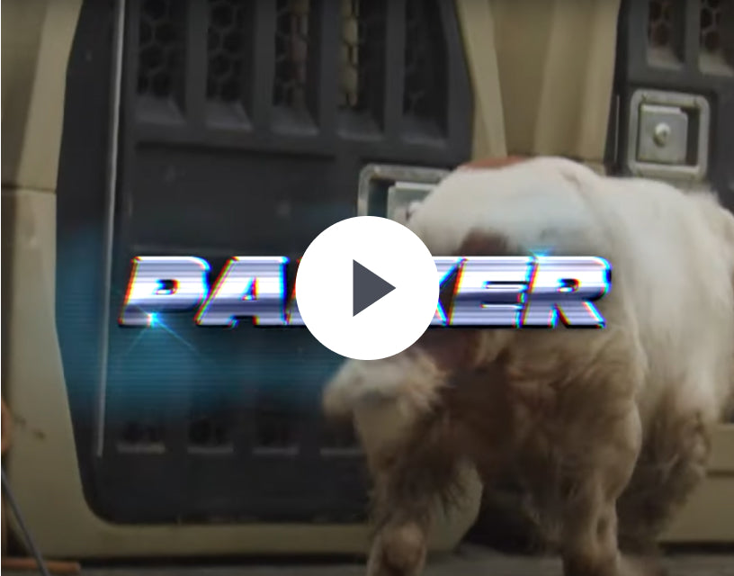 A dog with brown and white fur stands near large animal crates, resembling a dog kennel, partially facing away. The word PARKER in bold, glowing letters appears across the image, partially covering the dogs body. A play button overlays the center.