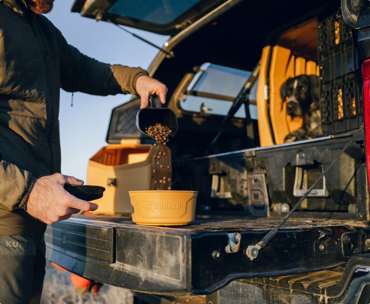 A person pours dry dog food into a bowl on the open tailgate of a vehicle, while a working dog sits in a dog crate in the back of the car, looking out.