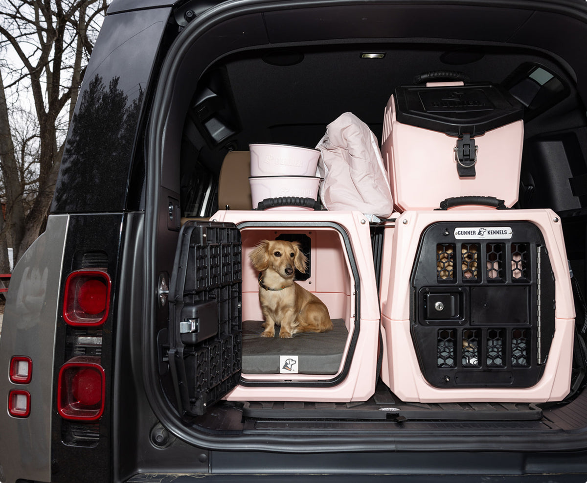 A small tan hunting dog sits inside a pink dog crate in the open trunk of a vehicle, surrounded by other pink crates and outdoor gear, with trees visible in the background.