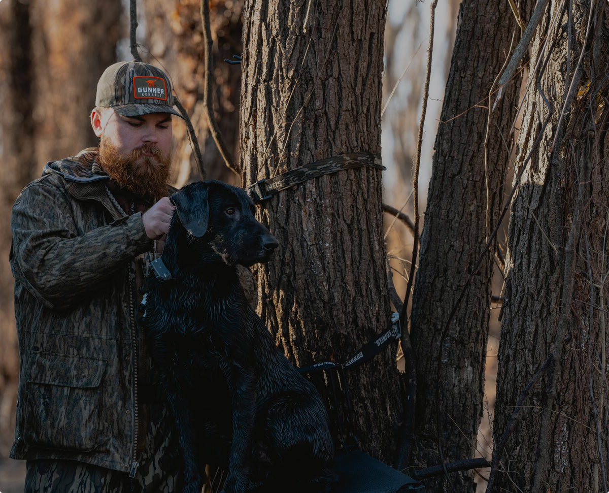 A man in camouflage clothing and a cap stands outdoors beside trees, holding the collar of a wet hunting dog sitting on a platform attached to a tree.
