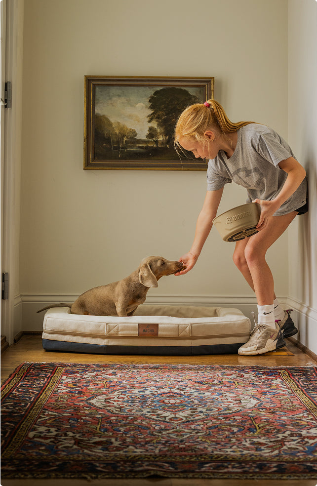A young girl feeds a small light brown puppy sitting in a dog crate, holding a bowl in one hand. They are in a hallway with a patterned rug and a landscape painting on the wall behind them.
