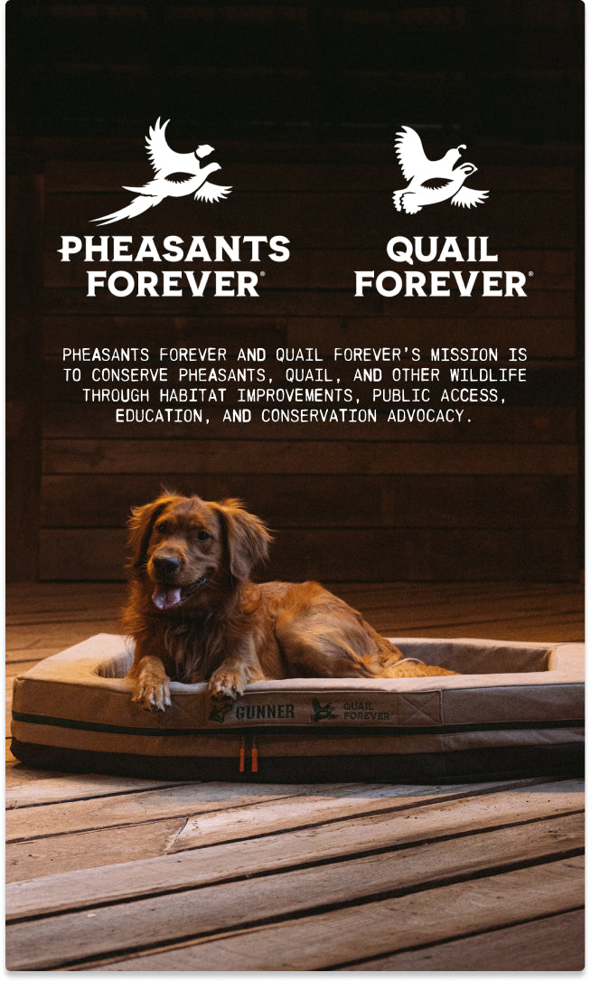 A brown working dog lies on a dog bed indoors, near its kennel. Above, logos for Pheasants Forever and Quail Forever appear with a mission statement about wildlife conservation and habitat improvement.