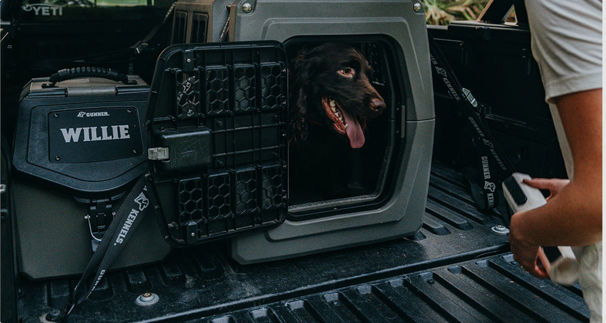 A brown working dog sits inside a dog kennel labeled WILLIE in the back of a truck, mouth open and tongue out, while a person stands nearby holding an object.