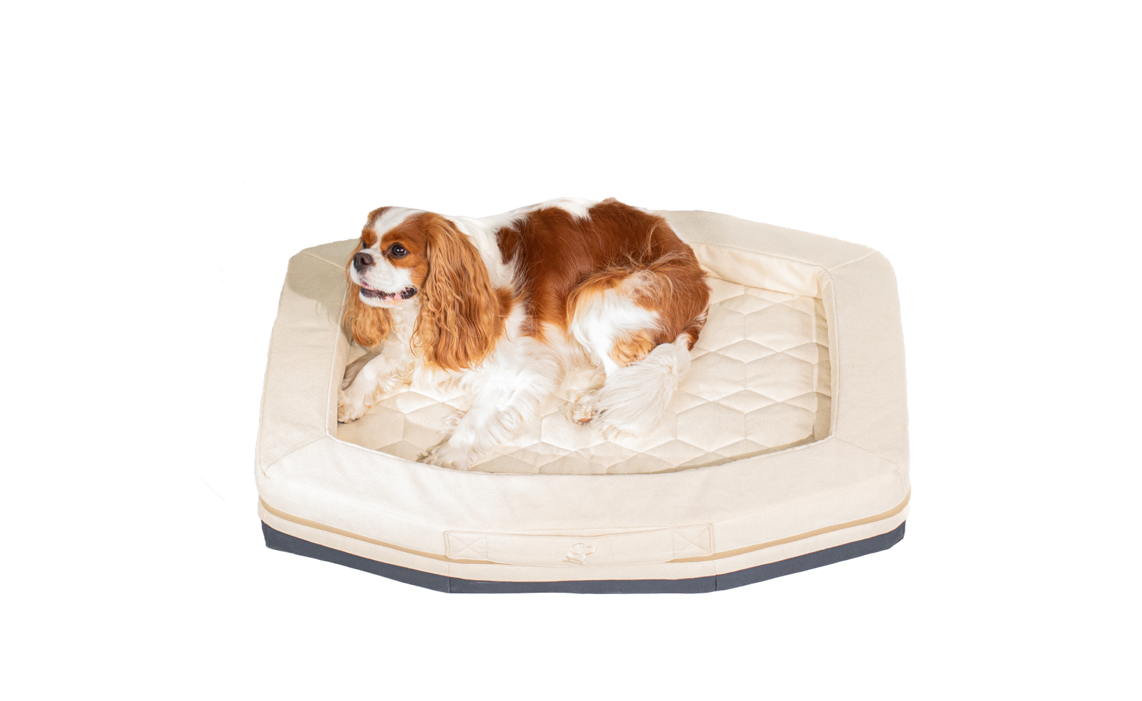 A brown and white dog with long fur is lying on a light-colored, rectangular cushioned pet bed with raised edges, perfect for use in a dog crate or kennel, against a white background.