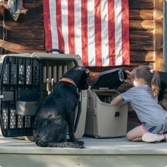 A young girl kneels on a porch beside a black dog, opening a tan dog crate. Another hunting dog stands nearby. Behind them hangs a rustic American flag on a wooden wall.