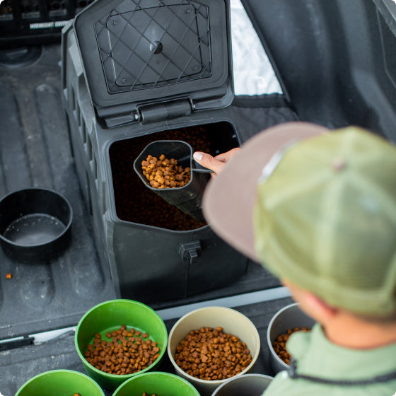 A person scoops dry pet food from a large black container into a black scoop, with several green and beige bowls filled with kibble arranged on the ground nearby—ideal for use in any kennel or dog kennel setup.