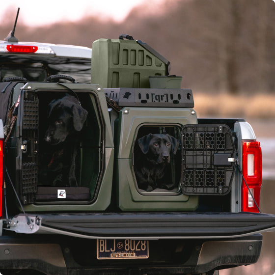 Two black dogs sit in separate dog crates on the open tailgate of a white pickup truck, with outdoor gear and containers stacked nearby. The scene is set outdoors, with blurred trees and grass in the background.