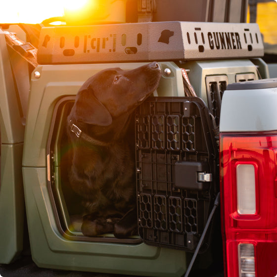 A black hunting dog sits inside a green dog crate with the door open, looking upward. The crate is attached to the back of a vehicle, and sunlight shines in the background, highlighting essential outdoor gear.