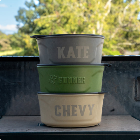 Three pet bowls are stacked outdoors near a dog kennel; the top gray bowl is labeled KATE, the middle green bowl with GUNNER and a dog logo, and the bottom beige bowl reads CHEVY. Trees can be seen in the background.