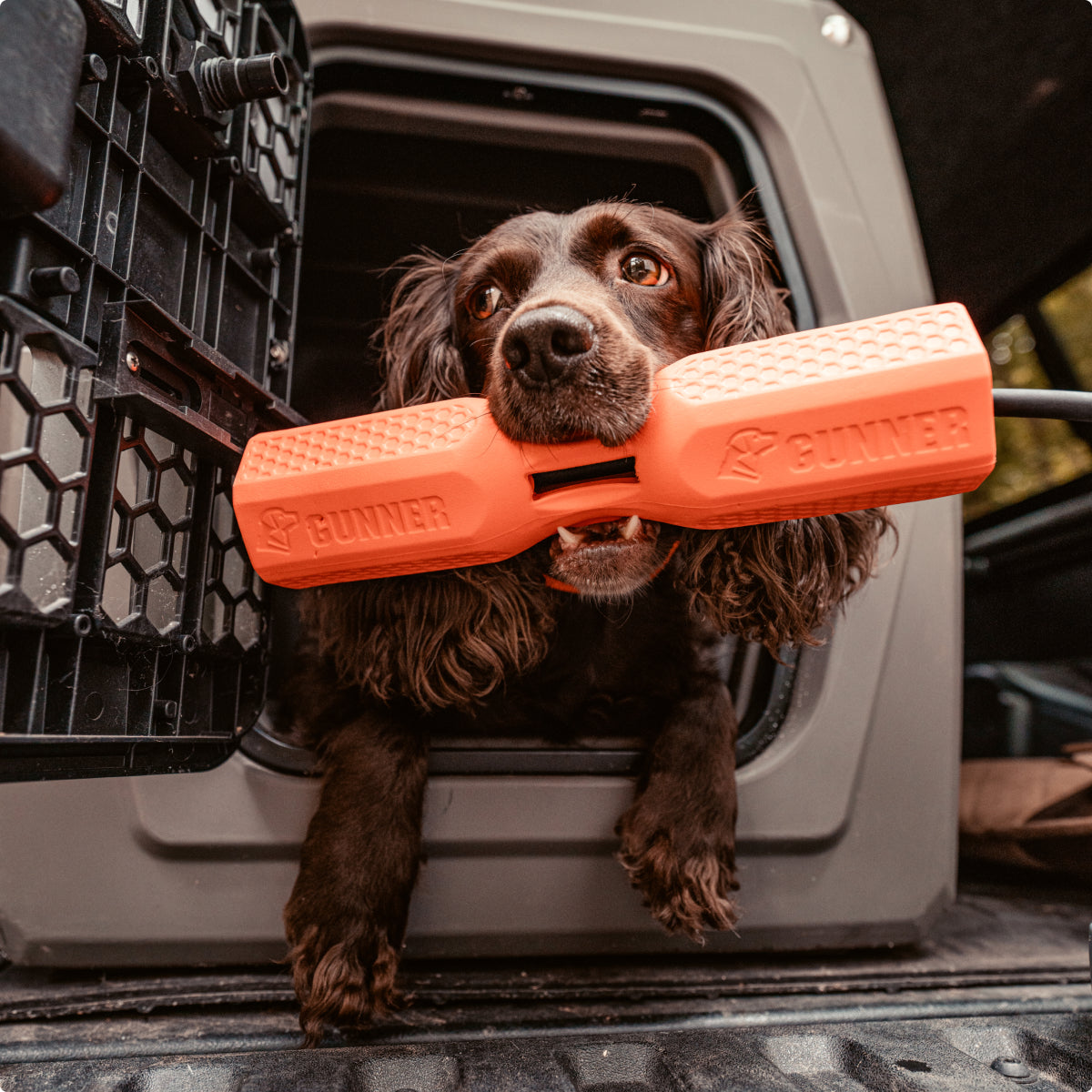 A black and brown working dog lies in the open doorway of a kennel, holding a large orange chew toy labeled GUNNER in its mouth.
