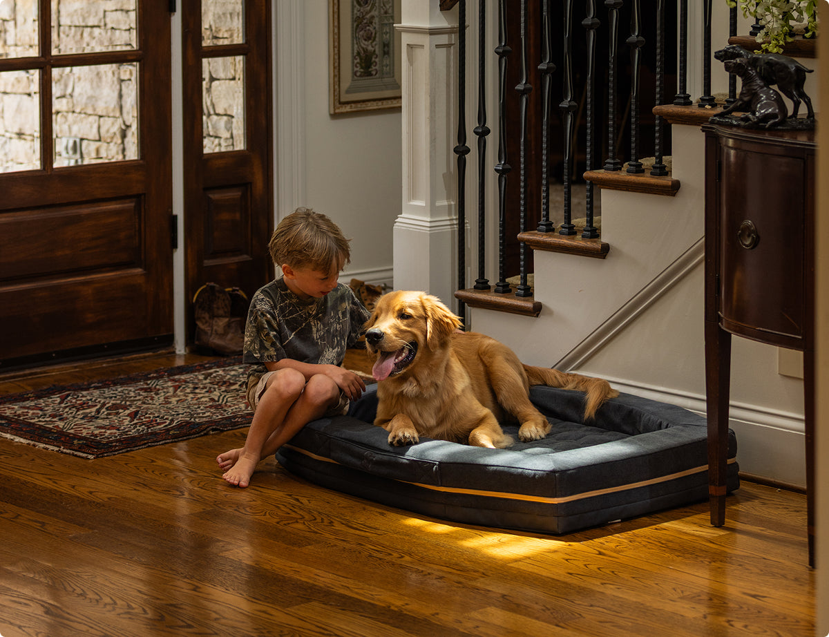 A young boy sits beside a golden retriever lying on a dog bed next to a cozy dog crate in a warmly lit home entryway with wooden floors, stairs, and the front door visible in the background.