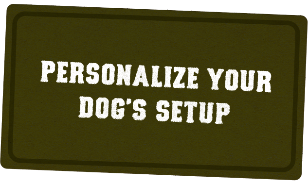 A dark green rectangular sign with white bold text reads: PERSONALIZE YOUR HUNTING DOG’S KENNEL SETUP.