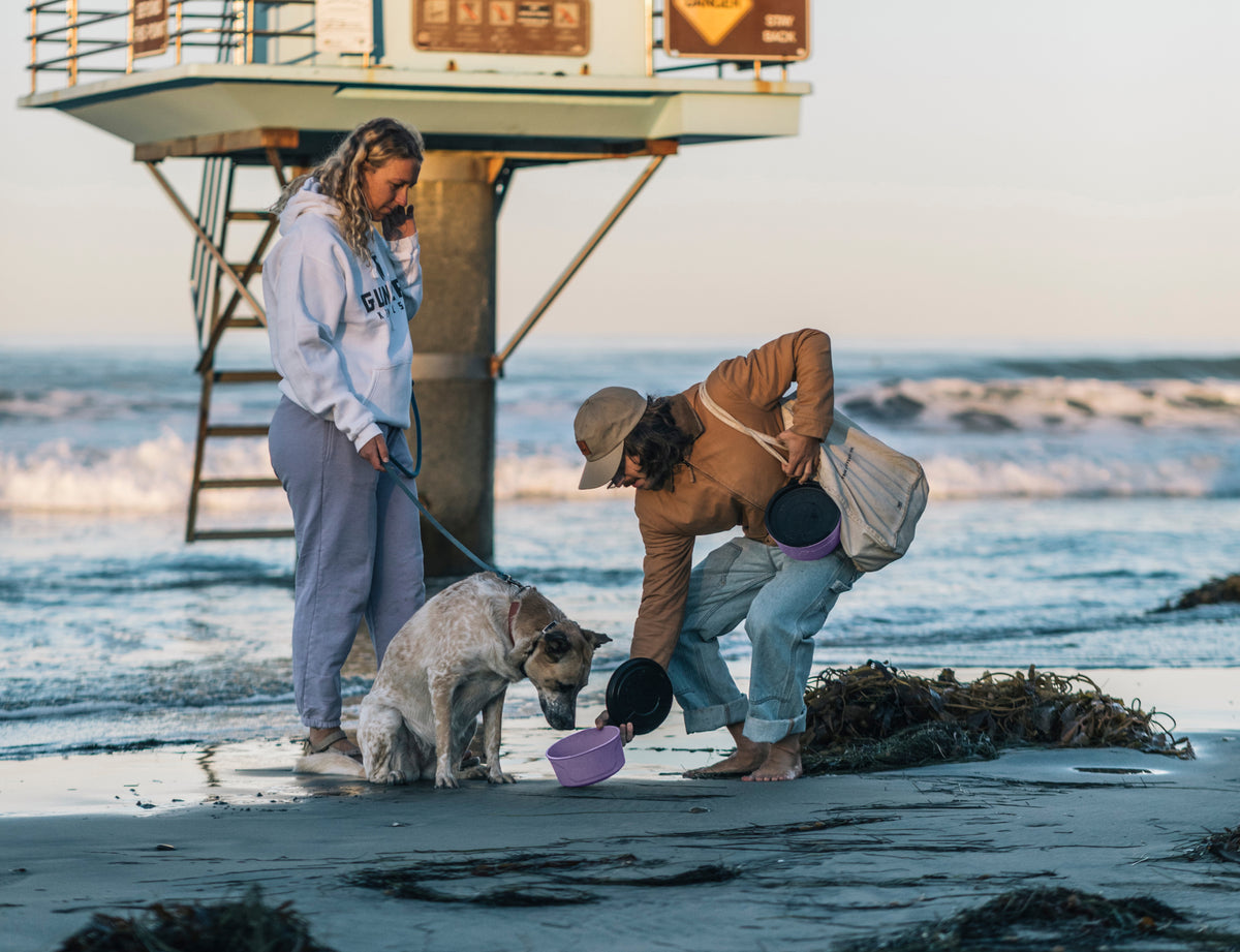 Two women at the beach with a dog use the GUNNER DOG BOWL - LAVENDER by GUNNER to pour water for their pup, while one holds its leash. The lavender bowl pops against the backdrop of ocean waves and a lifeguard tower.
