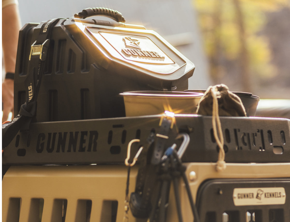 A close-up of stacked Gunner dog kennels and pet accessories, with sunlight shining on them. A leash, dog bowls, and collars are visible, emphasizing outdoor or travel readiness for the working dog.