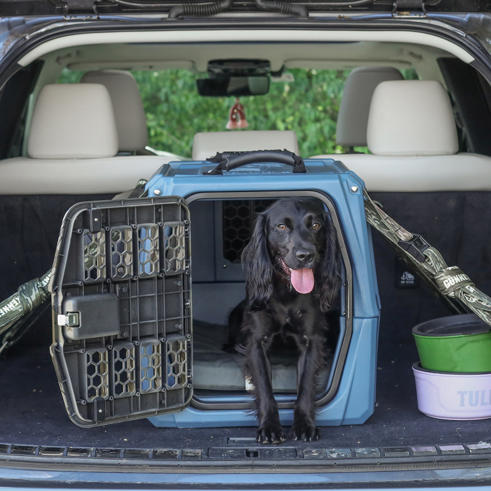 A black dog sits inside an open blue GUNNER crate secured with the TIE-DOWN STRAP KIT in a car trunk, its tongue out. The car’s interior is visible, with green and purple bowls next to the crate.
