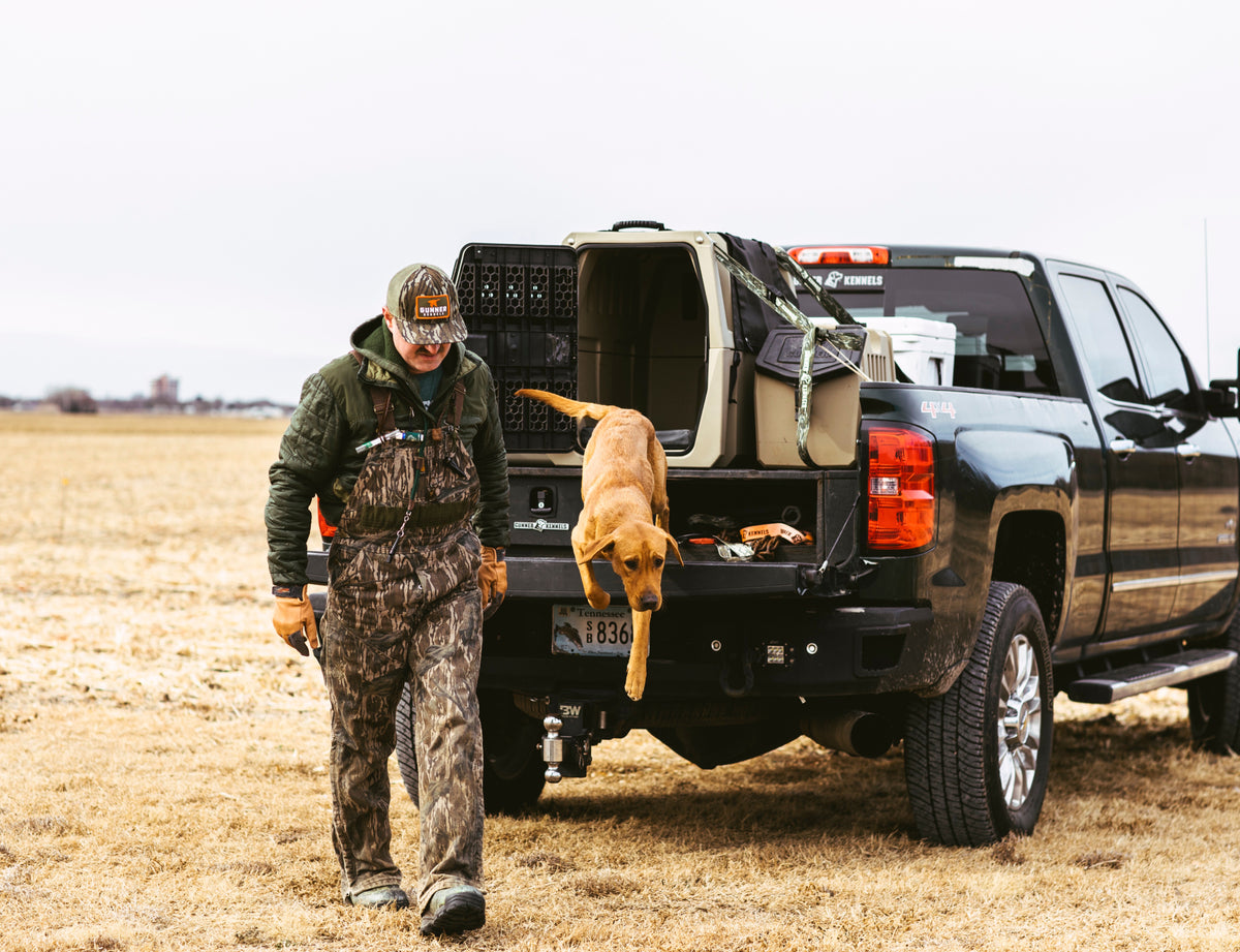 Wearing the GUNNER BOTTOMLAND MALLARD TRUCKER, a man in Mossy Oak camo walks from a black pickup in a dry grassy field as his yellow dog leaps from the truck bed kennel under cloudy skies.