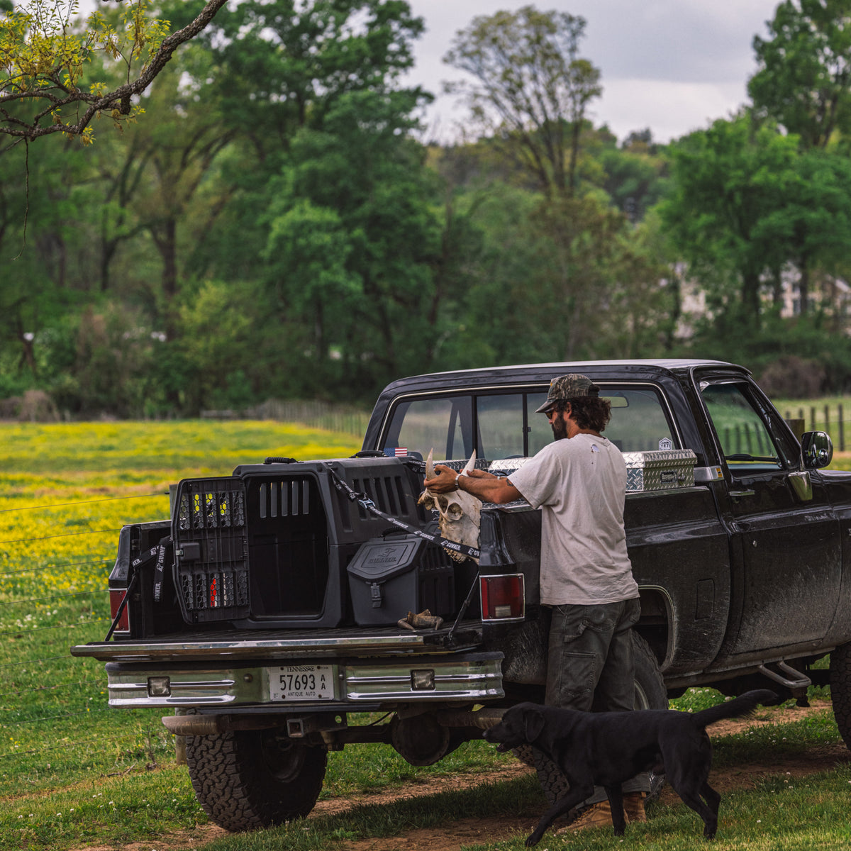 A man stands by a black pickup in a grassy field, reaching toward his dog in the GUNNER G1™ KENNEL - FLINT, secured in the truck bed. A black dog is nearby as trees and yellow wildflowers fill the background.