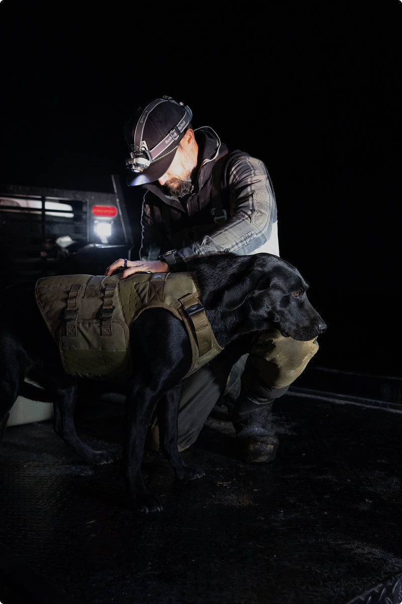 A person wearing a headlamp and outdoor gear kneels beside a black working dog dressed in a tactical vest, both illuminated against a dark background.