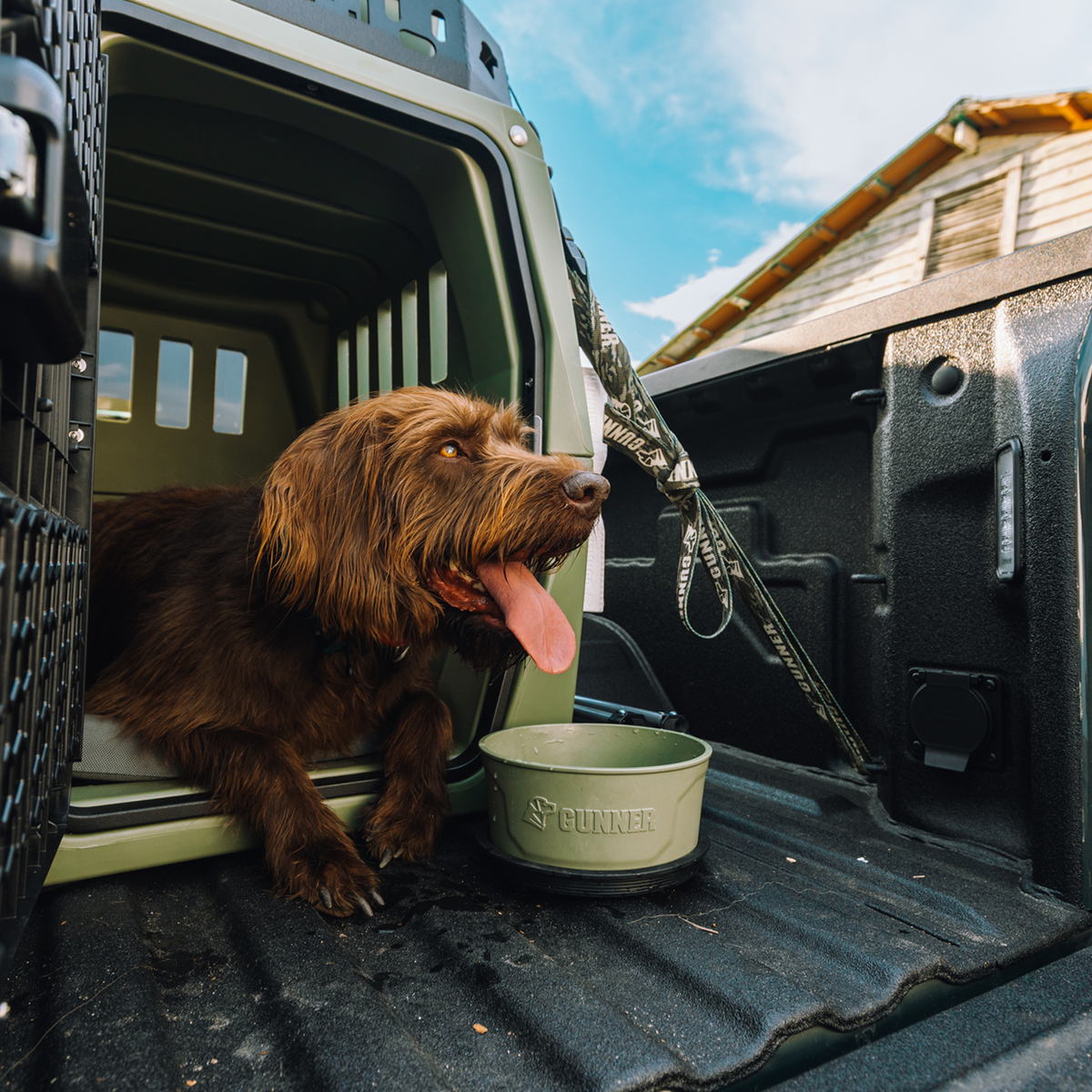 A brown dog with its tongue out lies in a crate in the back of a truck, next to a GUNNER DOG BOWL in GUNNER GREEN with a spill-proof lid. The truck is parked outside near a house under a blue sky.