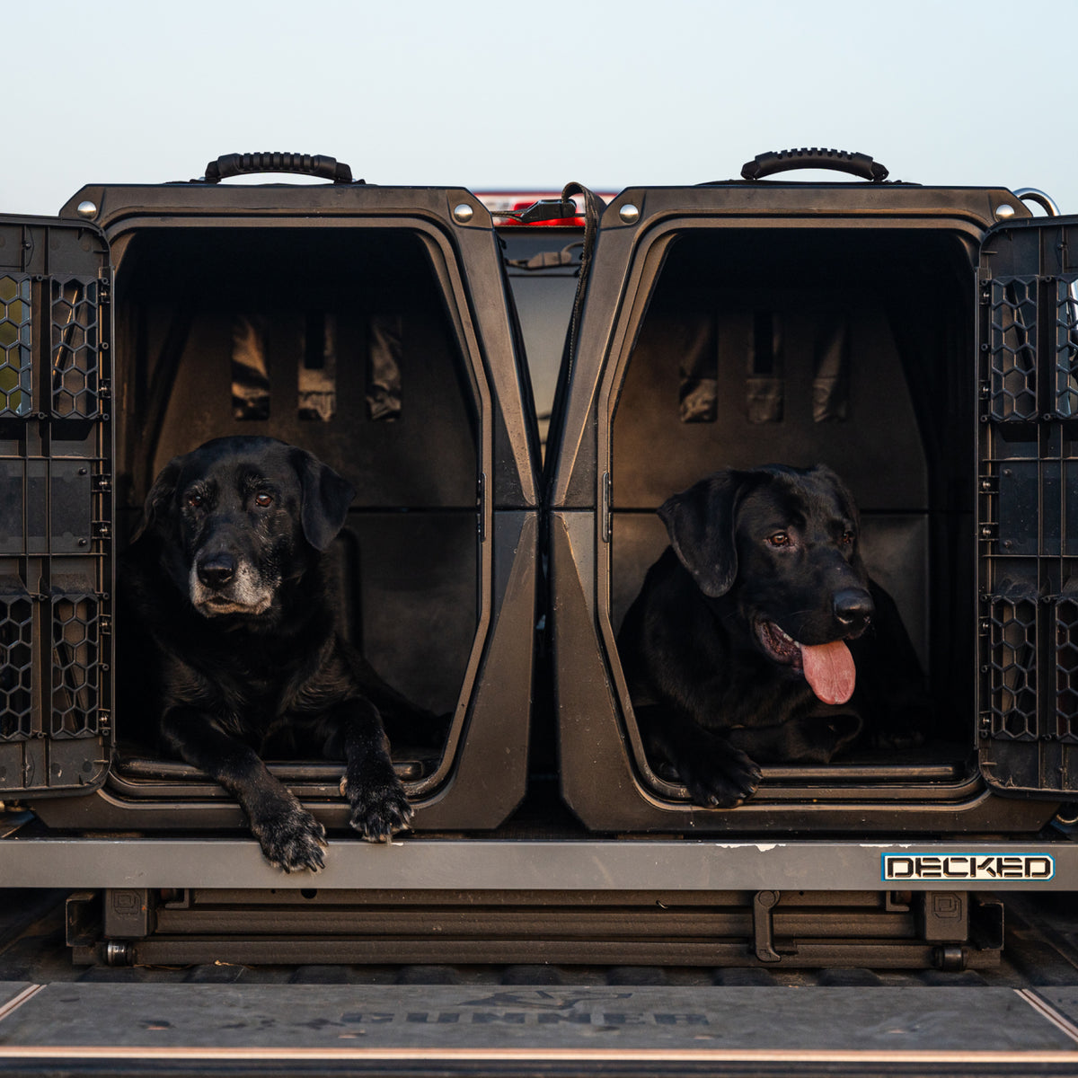 Two black Labradors rest in separate compartments of the GUNNER G1™ KENNEL - BLACK at a vehicle’s rear. One looks forward calmly, the other appears happy and relaxed with its tongue out. Both kennel doors are open.