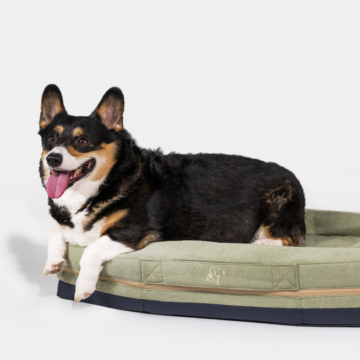 A cheerful tricolor corgi lounges on the GUNNER HOMESTEAD DOG BED Treeline Green, a durable and easy-to-clean oval bed, set against a plain white background.