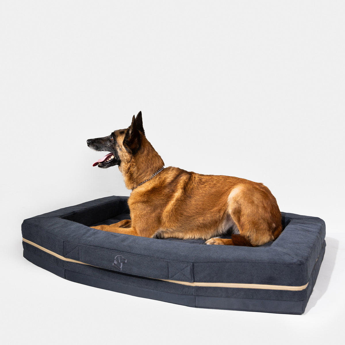 A large brown dog lies comfortably on the GUNNER HOMESTEAD DOG BED in Harbor Blue, a durable rectangular pet bed, looking to the left against a plain white background.