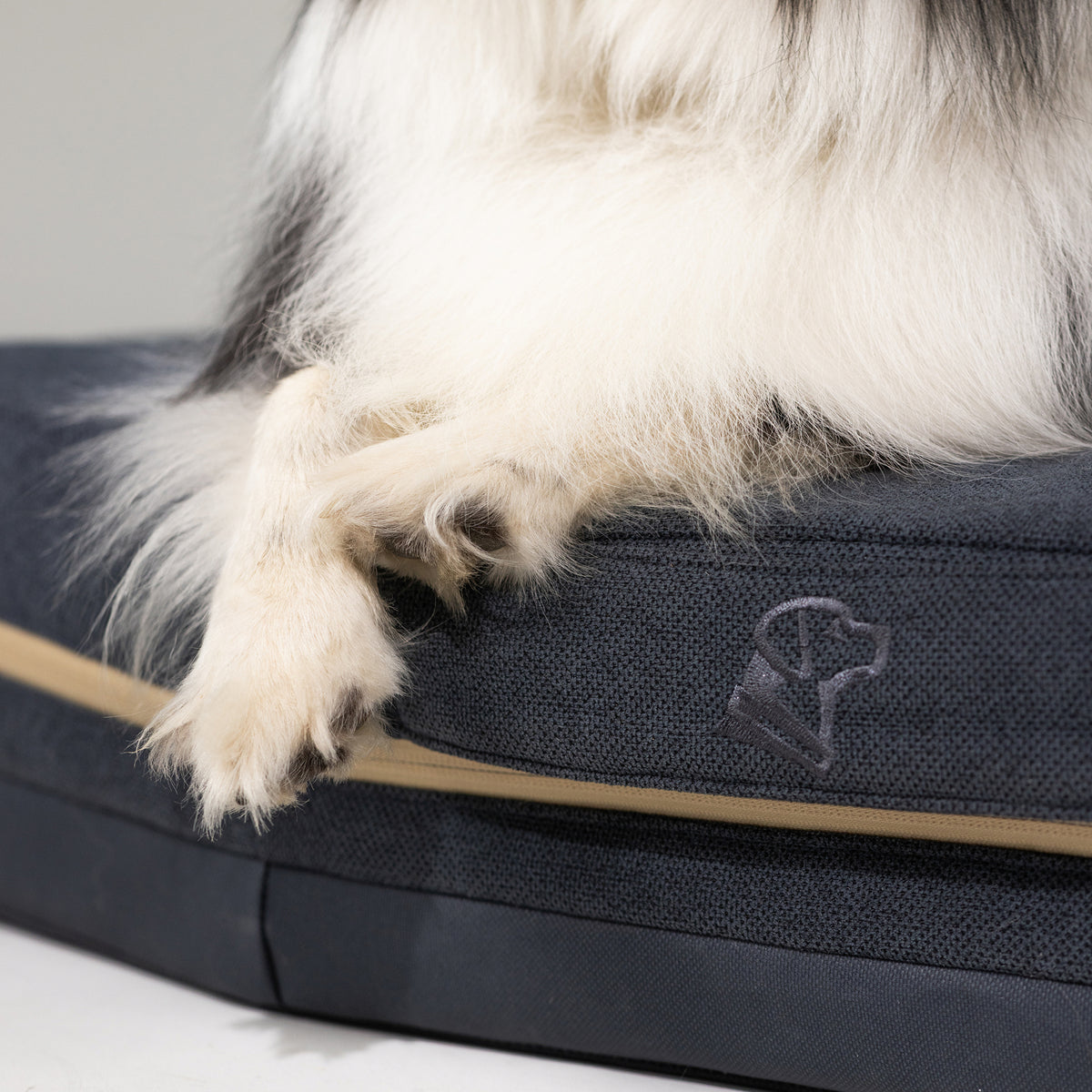 A close-up of a dog’s front legs and white fur with black markings resting on the GUNNER HOMESTEAD DOG BED in Harbor Blue, featuring a stitched outline of a dogs head on the side.