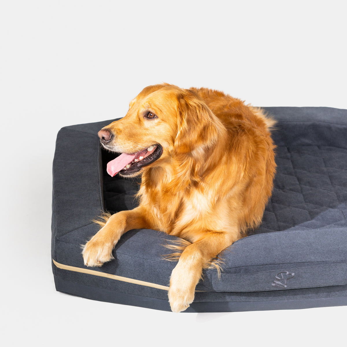 A golden retriever lounges on the GUNNER HOMESTEAD DOG BED in Harbor Blue, front paws draped over the edge, mouth open and tongue out, looking to the side. This bed combines a durable, easy-to-clean design with comfort against a plain white background.