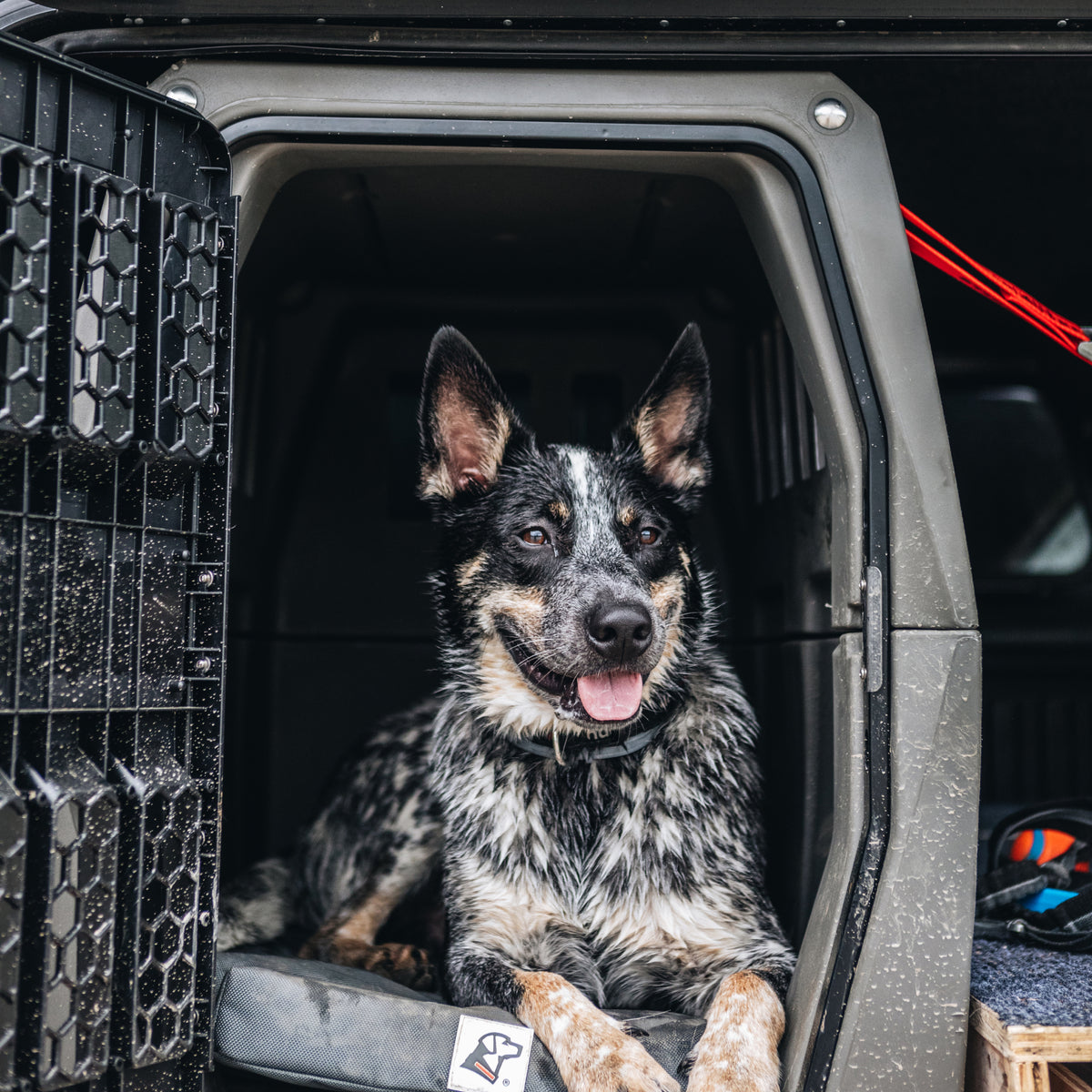 A black and white speckled dog with pointed ears lies comfortably inside the GUNNER G1™ KENNEL in Gunmetal, looking out with its mouth open and tongue out, appearing relaxed and alert.