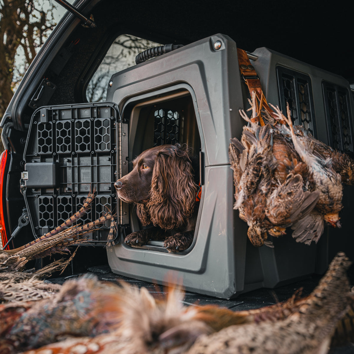 A brown dog sits in the back of a vehicle inside a GUNNER G1™ KENNEL - GUNMETAL, looking out. Several game birds are placed around the kennel. The outdoor setting features nearby trees.