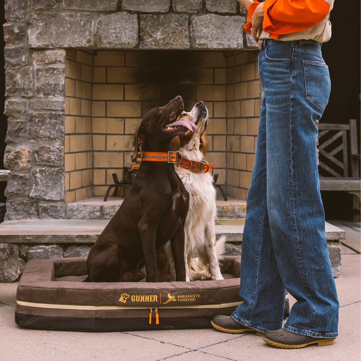 Two dogs rest on the GUNNER HOMESTEAD DOG BED in Pheasant Brown, wearing orange collars by a stone fireplace, looking up at a person in blue jeans and orange—a tribute to our Pheasants Forever collaboration and special-edition hunting gear.