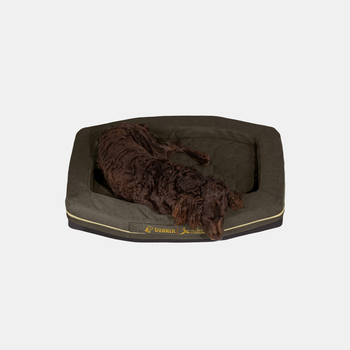 A brown dog lies on the GUNNER HOMESTEAD DOG BED in Pheasant Brown, which features raised edges and a quilted surface, inspired by our Pheasants Forever collaboration, set against a plain light background.