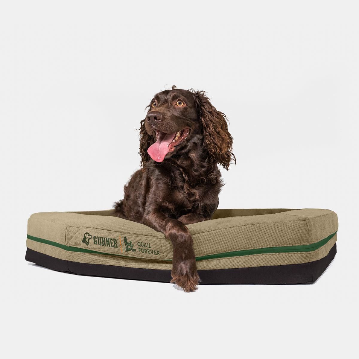A brown dog with curly ears relaxes on a green and black HOMESTEAD DOG BED Quail Tan by GUNNER, showing the Quail Forever Tan logo, looking alert with its tongue out against a plain white background.