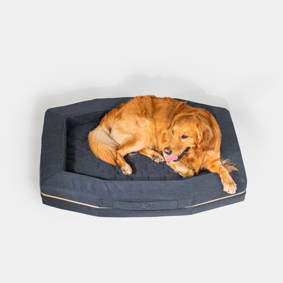 A golden retriever relaxes on the GUNNER HOMESTEAD DOG BED in Harbor Blue, a durable rectangular bed with raised edges, set against a plain white background.