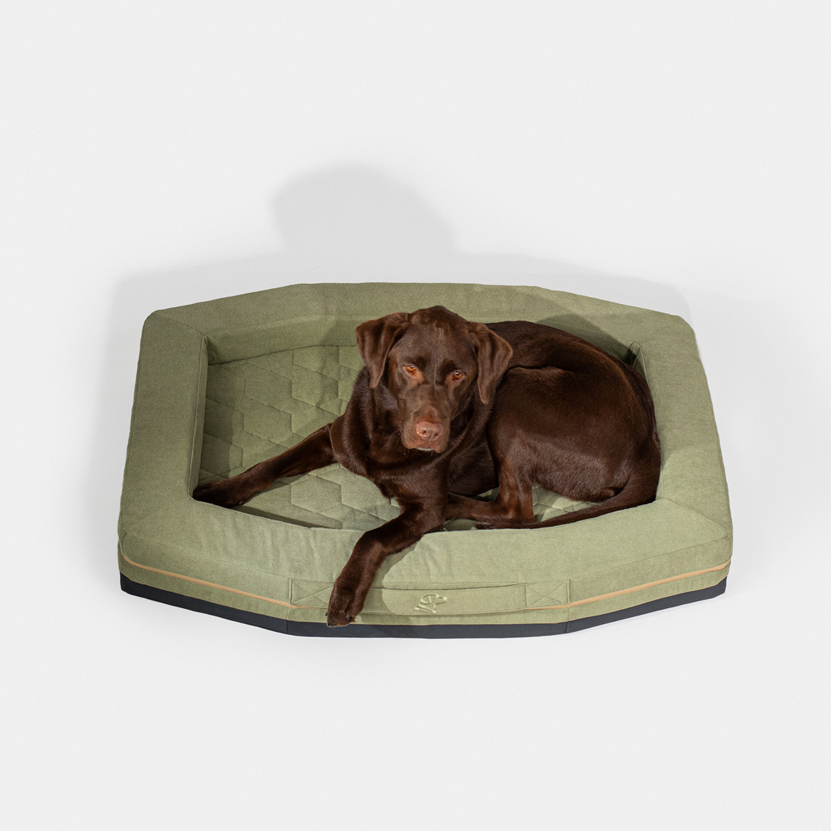 A brown dog lies on a GUNNER HOMESTEAD DOG BED in Treeline Green, looking up at the camera against a plain white background.