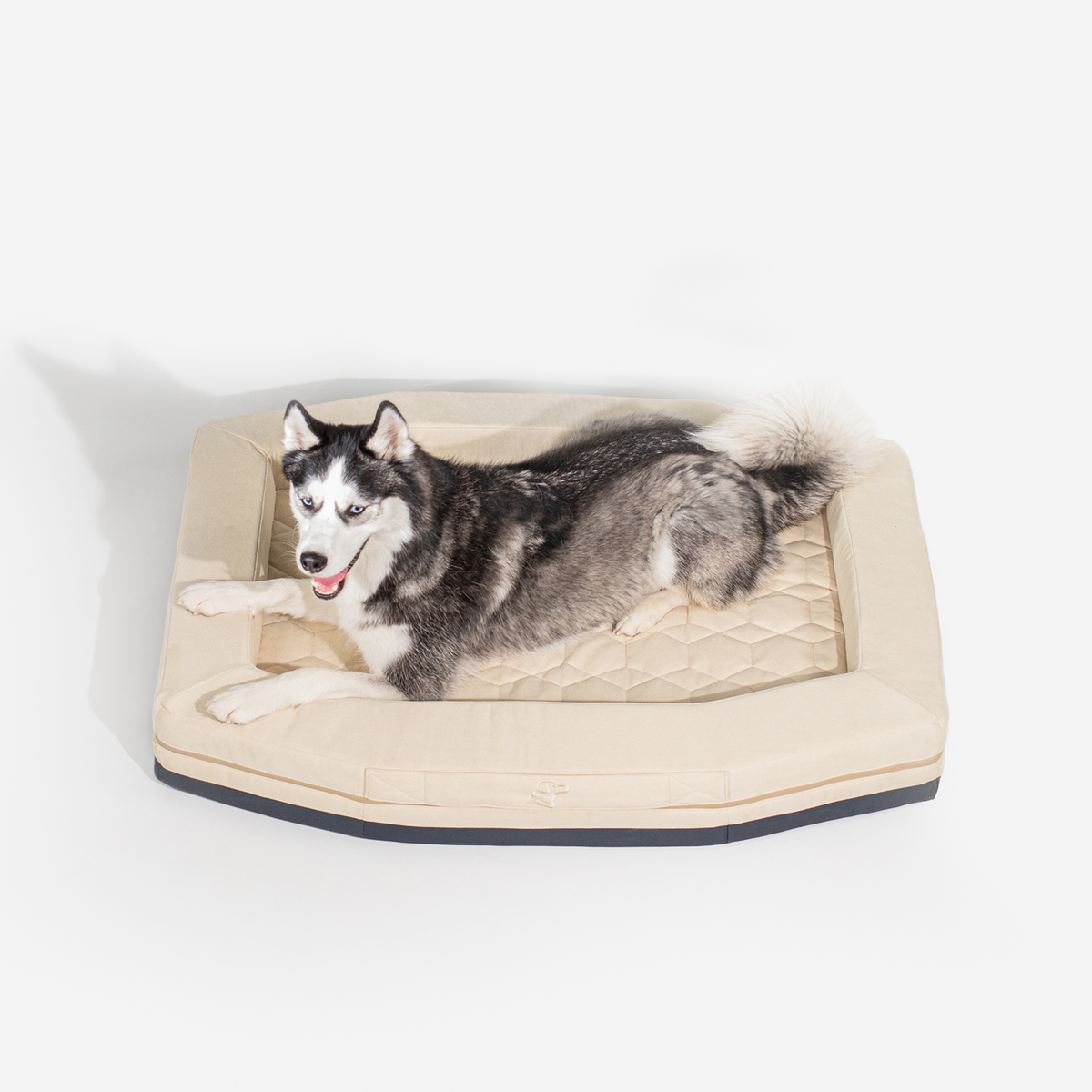 A black and white husky rests on the GUNNER HOMESTEAD DOG BED Oak, a beige, quilted pet bed made from durable, easy-to-clean materials, set against a plain white background.