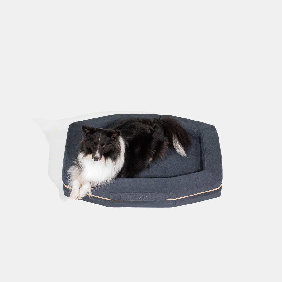 A black and white dog with long fur lies on the GUNNER HOMESTEAD DOG BED in Harbor Blue, a durable rectangular pet bed, against a plain white background.