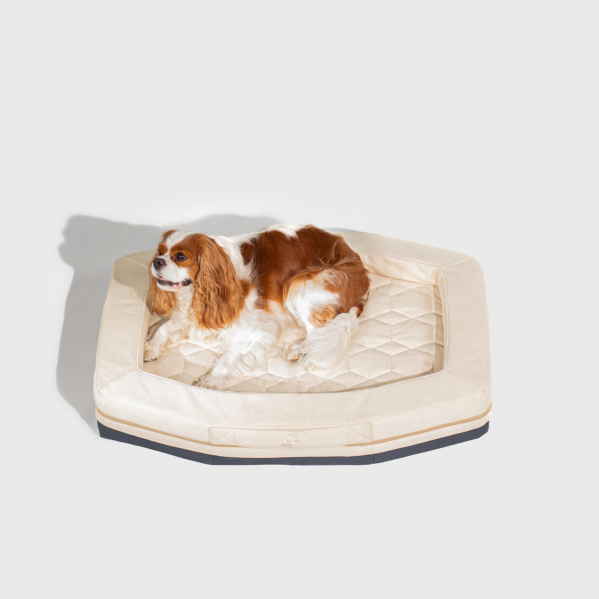 A brown and white dog lies on the GUNNER HOMESTEAD DOG BED Oak, a durable, easy-to-clean pet bed with a light beige quilted hexagonal surface, set against a plain white background for long-lasting comfort.